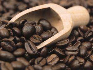 JAVA KAFFE  - m�rkristet  � hele b�nner